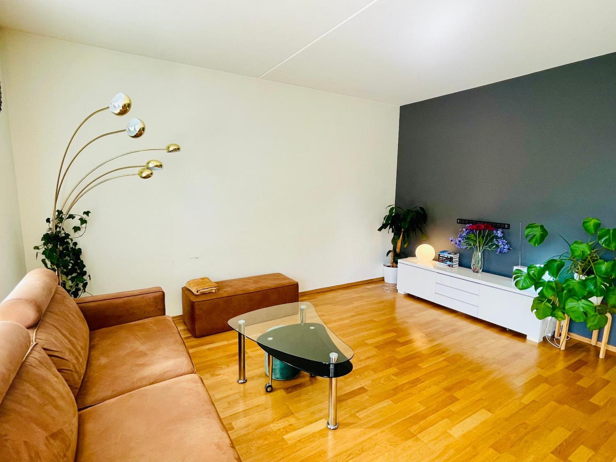 Spacious Modern Apartment Trondheim Zewnętrze zdjęcie